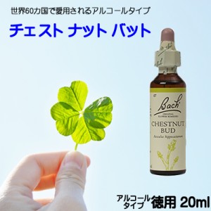 【チェストナットバッド】アルコールベース20ｍｌ■落ち着きがないく【ゆうパケット選択で送料無料】バッチフラワーレメディ【新価格　20