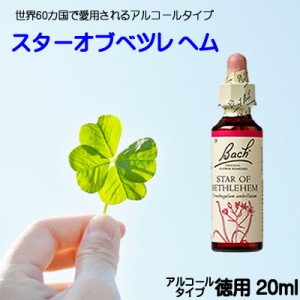 【スターオブベツレヘム】アルコールベース20ｍｌ■トラウマからの開放　【ゆうパケット選択で送料無料】バッチフラワーレメディ【新価格