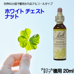 【ホワイトチェストナット】アルコールベース20ｍｌ■心配事が堂々めぐりで落ち着かない　【ゆうパケット選択で送料無料】バッチフラワー