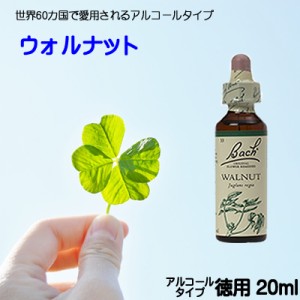 【ウォルナット】アルコールベース20ｍｌ■気持ちの切り替えが早くなる　【ゆうパケット選択で送料無料】バッチフラワーレメディ【新価格