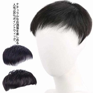 送料無料 3タイプ 男性用ウィッグ トップカバー 人毛100％ かつら ヘアピース メンズ 部分ウィッグ 円形脱毛症 白髪隠し 薄毛 抜け毛 増