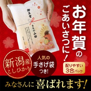 御年賀 米 新潟産コシヒカリ ３合パック（450g）真空パック 新年 粗品 お年賀 米 正月 挨拶 品 年末 ギフト 御礼 ギフト