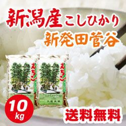 米 新潟県 新発田 菅谷産 コシヒカリ 真空パック 5ｋｇ×2