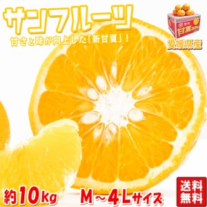 サンフルーツ 新あまなつ 約10kg M〜4Lサイズ 愛媛県産 甘夏から生まれた新品種、新甘夏！昔ながらのさっぱりした甘さと絶妙な味わい