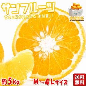 サンフルーツ 新あまなつ 約5kg M〜4Lサイズ 愛媛県産 甘夏から生まれた新品種、新甘夏！昔ながらのさっぱりした甘さと絶妙な味わい