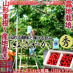 産地直送 紅さやか さくらんぼ 約1kg Lサイズ 山形県産 秀品 露地栽培 贈答品 酸味と高い糖度が魅力の爽やかな味！