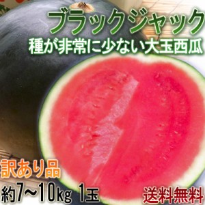 ブラックジャック 黒皮スイカ 種無し西瓜 1玉 約7〜10kg 訳あり品 千葉県産 大玉限定 地域ブランドの富里産中心！ 割れて届いた時の返品