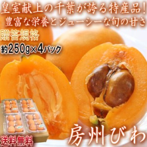 房州びわ 枇杷 パック詰め 250g×4パック M〜Lサイズ 千葉県産 贈答規格 栄養豊富な旬の特産品！皇室献上のビワ産地、千葉県の高級フルー