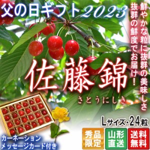 2024 父の日ギフト 産地直送 佐藤錦 さくらんぼ Lサイズ 24粒 山形県産 贈答品 化粧箱入り カーネーション・カード同梱