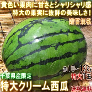 特大クリームスイカ 約7〜13kg 特大1玉入り 千葉県産 贈答規格 希少品種 成田・富里を始めとした日本屈指の西瓜産地で育てた抜群の味とシ