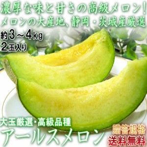 アールスメロン 約2.5〜3kg 2玉入り 高知・茨城・静岡県産中心 贈答規格 JA共撰品 化粧箱入り 別名マスクメロン！日本を代表する高級フル