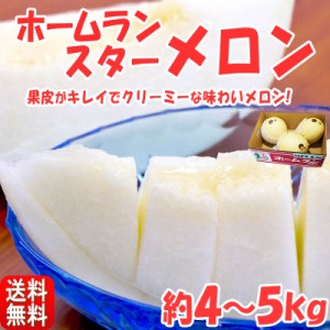 ホームランメロン 約4〜5kg 熊本県産 白い果皮のノーネットメロン！本場で育てた上品な甘さにとろける触感