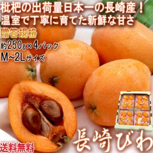 長崎びわ 温室栽培 約250g×4パック 贈答規格 JA全農ながさき 枇杷の出荷量日本一の長崎県産！美しい果粒に豊富な栄養と優しい甘さ