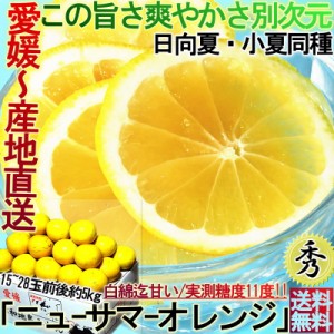 産地直送 日向夏 ニューサマーオレンジ 約5kg 愛媛県産 秀品 贈答用 糖度実測11度以上 白皮ごと食べるオレンジ！