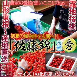 産地直送 佐藤錦 さくらんぼ 約1kg Lサイズ 山形県産 贈答規格 露地栽培 秀品 化粧箱入り 本場で育てた鮮度抜群のギフトフルーツ