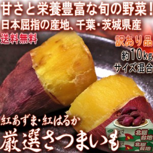 紅あずま・紅はるか さつまいも 約10kg 千葉県・茨城県産 訳あり品 濃厚な味と栄養豊富な旬の野菜！甘み溢れる薩摩芋をお届け