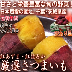 紅あずま・紅はるか・紅ゆうか さつまいも 約5kg 千葉県・茨城県産 訳あり品 濃厚な味と栄養豊富な旬の野菜！甘み溢れる薩摩芋をお届け