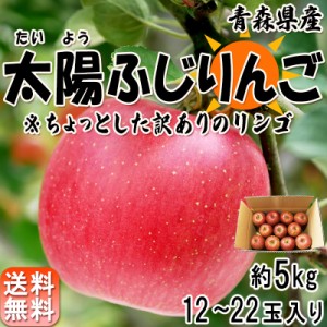 太陽ふじりんご 訳あり 約５kg １２〜２2玉 青森県産 みずみずしいシャキッとした食感の青森リン サンフジ りんご 林檎 訳アリ