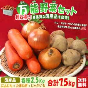 国産野菜セット 3種 ニンジン 玉ねぎ じゃがいも 各種約2.5kg 総重量 約7.5kg 盛り合わせ じゃが芋 たまねぎ にんじん 万能野菜セット