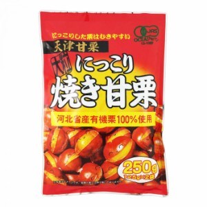 タクマ食品 にっこり焼き甘栗 20×2個入