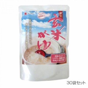 こまち食品 発芽玄米がゆ レトルト ×30袋セット