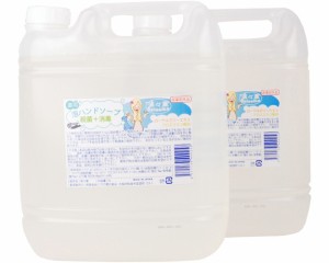 「殺菌・消毒」 ハンドソープ清々華 5L×2（泡ボトル2本付） くさの葉化粧品