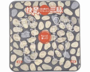 快足三昧（化粧箱）/　富士パックス販売　【介護用品】