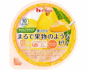 介護食 舌でつぶせる やさしくラクケア まるで果物のようなゼリー マンゴー 60g ハウスギャバン