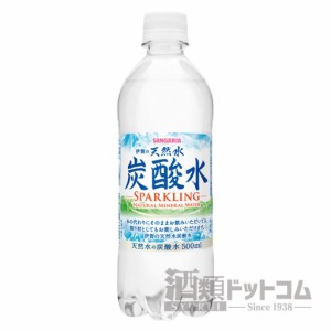 【酒 ドリンク 】伊賀の天然水 炭酸水 500ml(8669)