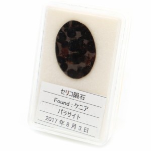 パラサイト隕石 ケニア セリコ産 重量1.9g 隕石標本 パワーストーン 1点物 石鉄隕石