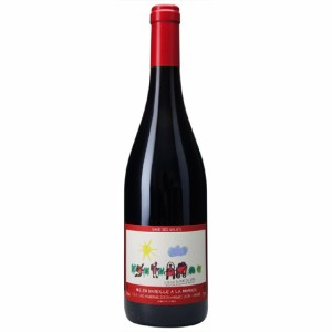 VdP（ヴァンドペイ ） デュガール・デ・ガレ エステザルグ 赤 750ml 12本 フランス コート・デュ・ローヌ 赤ワイン 父の日 誕生日 お祝い