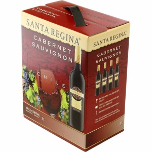 サンタ・レジーナ カベルネ・ソーヴィニヨン 赤 BIB バッグインボックス 3000ml チリ 赤ワイン 母の日 誕生日 お祝い ギフト プレゼント 