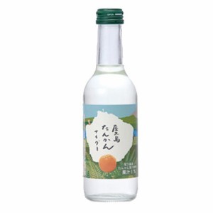 友桝 タンカンサイダー 245ml 24本 瓶 友桝飲料 佐賀県 ノンアルコール飲料 ケース販売 父の日 誕生日 お祝い ギフト レビューキャンペー