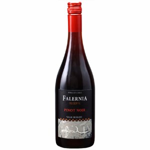 ピノ・ノワール レセルバ / ファレルニア 赤 750ml チリ エルキ・ヴァレー 赤ワイン 父の日 誕生日 お祝い ギフト プレゼント レビューキ