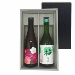 花咲く日本酒セット 一ノ蔵ひめぜん＆雑賀梅酒 720ml 日本酒梅酒 2本セット 本州のみ送料無料 父の日 誕生日 お祝い ギフト レビューキャ