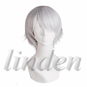 [linden] 銀魂 ぎんたま 【非公式/二次創作】 坂田銀時 さかたぎんとき ウイッグ 耐熱 かつら コスプレ イベント