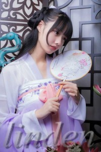 仙女服 漢服 唐装 レディース コスプレ 衣装 中華チャイナ風 古風 ダンス衣装 ステージ 古典 パーティードレス 仮装 学園祭 夏