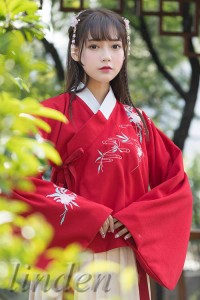 漢服 普段着 唐装 刺繍 女性 女の子 レディース ロリ スカート コス服 中華服 写真撮影 コスプレ 学園祭 可愛い おしゃれ イベント