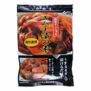 キムチ漬の素　100g×10個【メーカー直送】代引き・銀行振込前払い・同梱不可