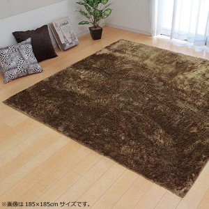 ラグ カーペット 『ラルジュ』 ベージュ 約200×300cm(ホットカーペット対応) 3958739 |b03