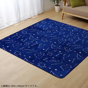 ラグ カーペット ホットカーペットカバー 『WSミリオン　RUG』ネイビー約200×250cm 9809983【メーカー直送】代引き・銀行振込前払い・同