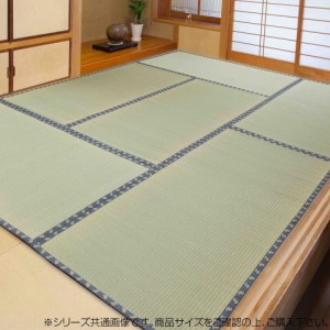 畳式い草上敷 6畳 約261×352cm TSN504042【メーカー直送】代引き・銀行振込前払い・同梱不可