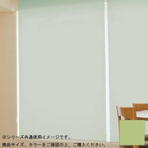 タチカワ ファーステージ ロールスクリーン オフホワイト 幅30×高さ90cm プルコード式 TR-1029 グリーンティ【メーカー直送】代引き・銀