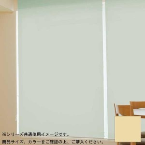 タチカワ ファーステージ ロールスクリーン オフホワイト 幅40×高さ120cm プルコード式 TR-1007 シャンパン【メーカー直送】代引き・銀