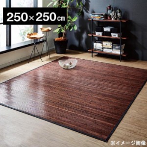 竹カーペット 『ユニバース』 ダークブラウン 250×250cm 5352340【メーカー直送】代引き・銀行振込前払い・同梱不可