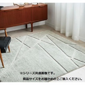 アスワン　ハイドロ銀チタン(R)カーペット　ハイシャン　200×250cm　SI・シルバー　CA616395【メーカー直送】代引き・銀行振込前払い・