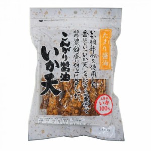 小倉秋一商店 いか天醤油 73g×10セット |b03