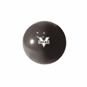 フィットネスボール 2.7kg　VAWFB6【メーカー直送】代引き・銀行振込前払い・同梱不可