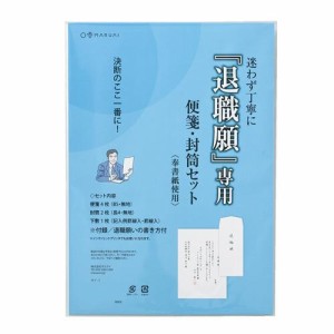 退職願専用 便箋・封筒セット 10セット タイ-1【メーカー直送】代引き・銀行振込前払い・同梱不可