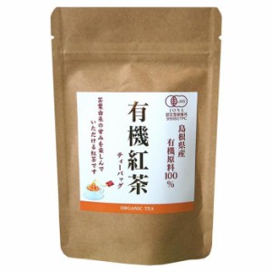 島根県産 有機紅茶 ティーバッグ(2g×10個入)×10セット |b03